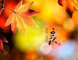  立秋已至，秋季家具如何保養？